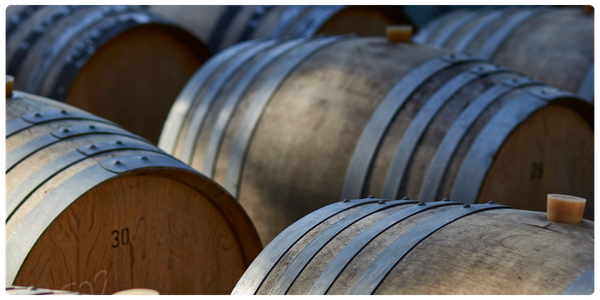 Finding the Best Hambledon Wine Estate Tour Experience for You