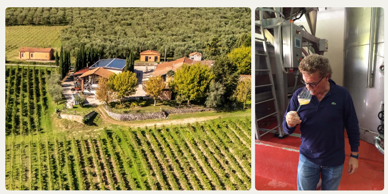Introducing: Fattoria la Rivolta
