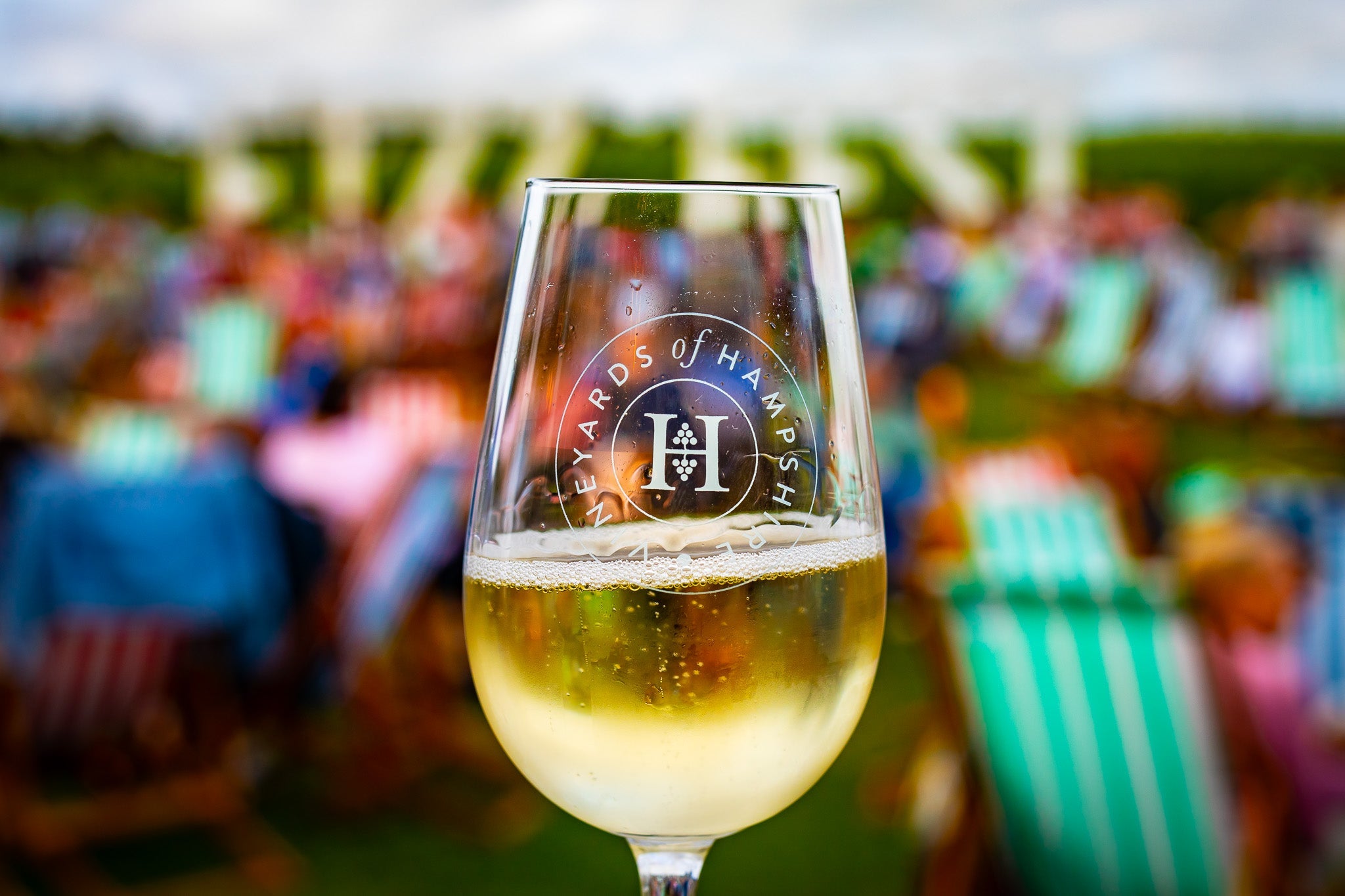 Fizz Fest 2026: Hosted at Hambledon Wine Estate