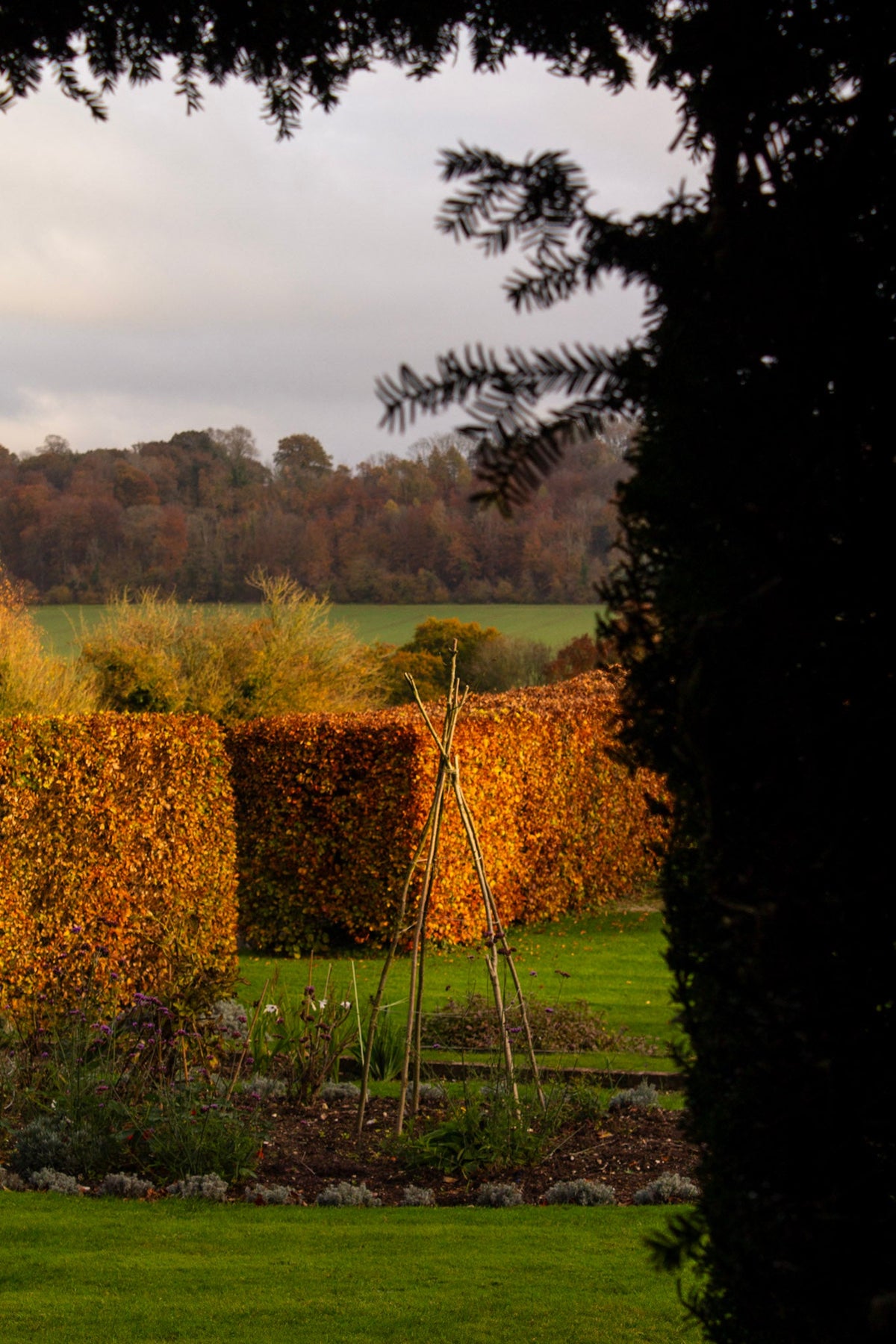 Autumn at Hambledon: Our Favourite Things