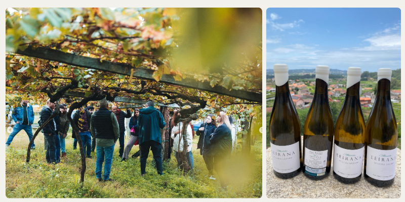 Introducing: Bodegas Forjas del Salnés