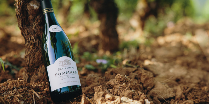 Introducing: Domaine Denis Carré at the Cellar Door Shop