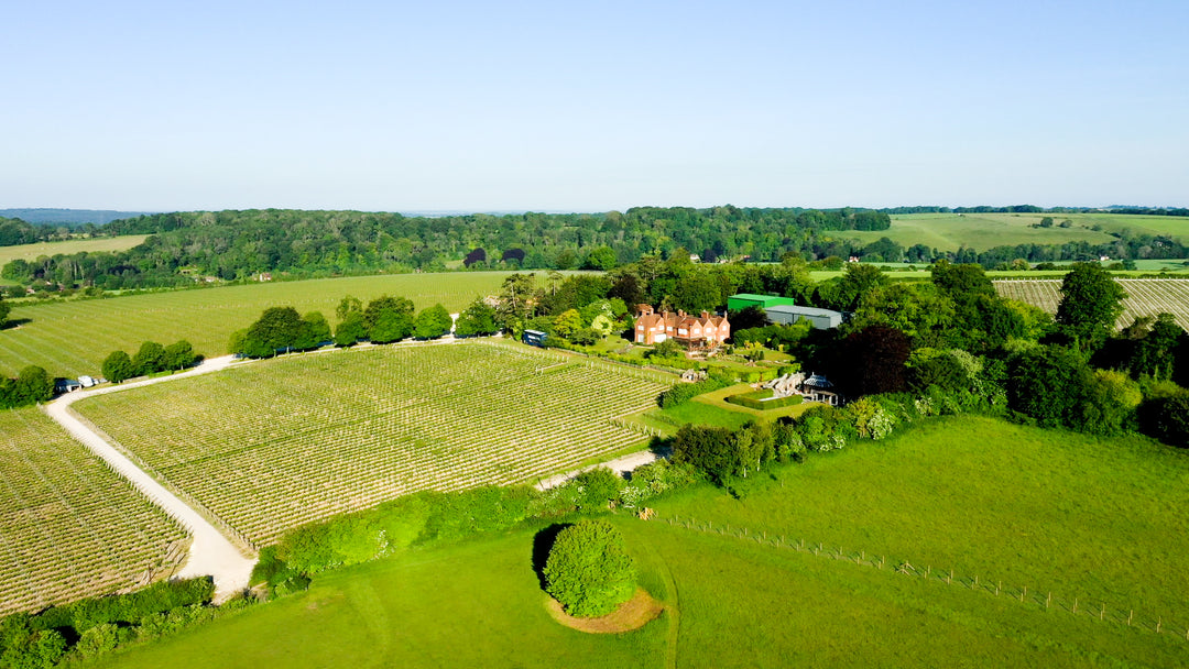 Our top 10 things to do during a Hampshire staycation: From scenic walks to Hampshire vineyards