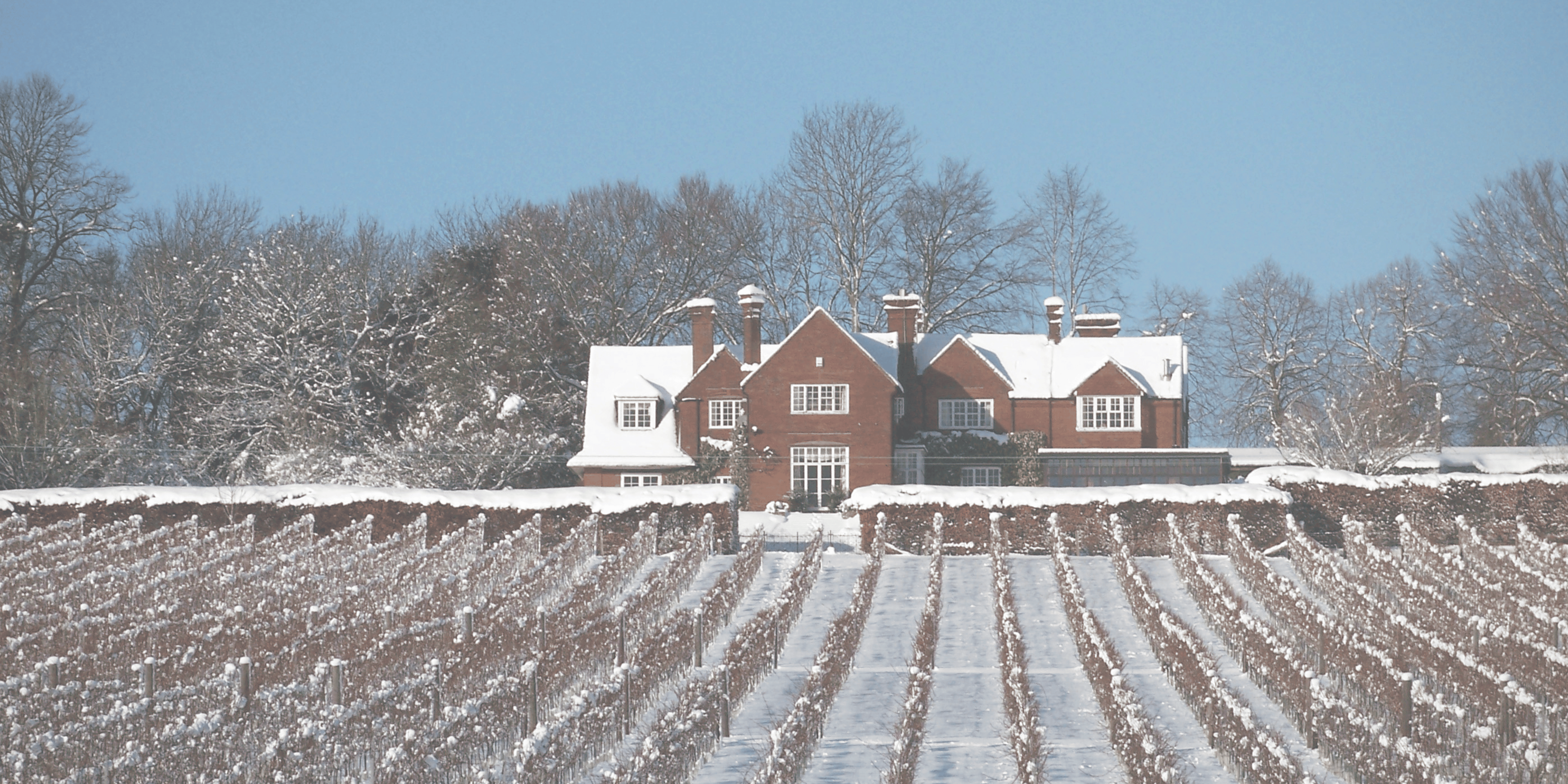 Twixtmas at Hambledon: a brilliant day out to add to the festive traditions