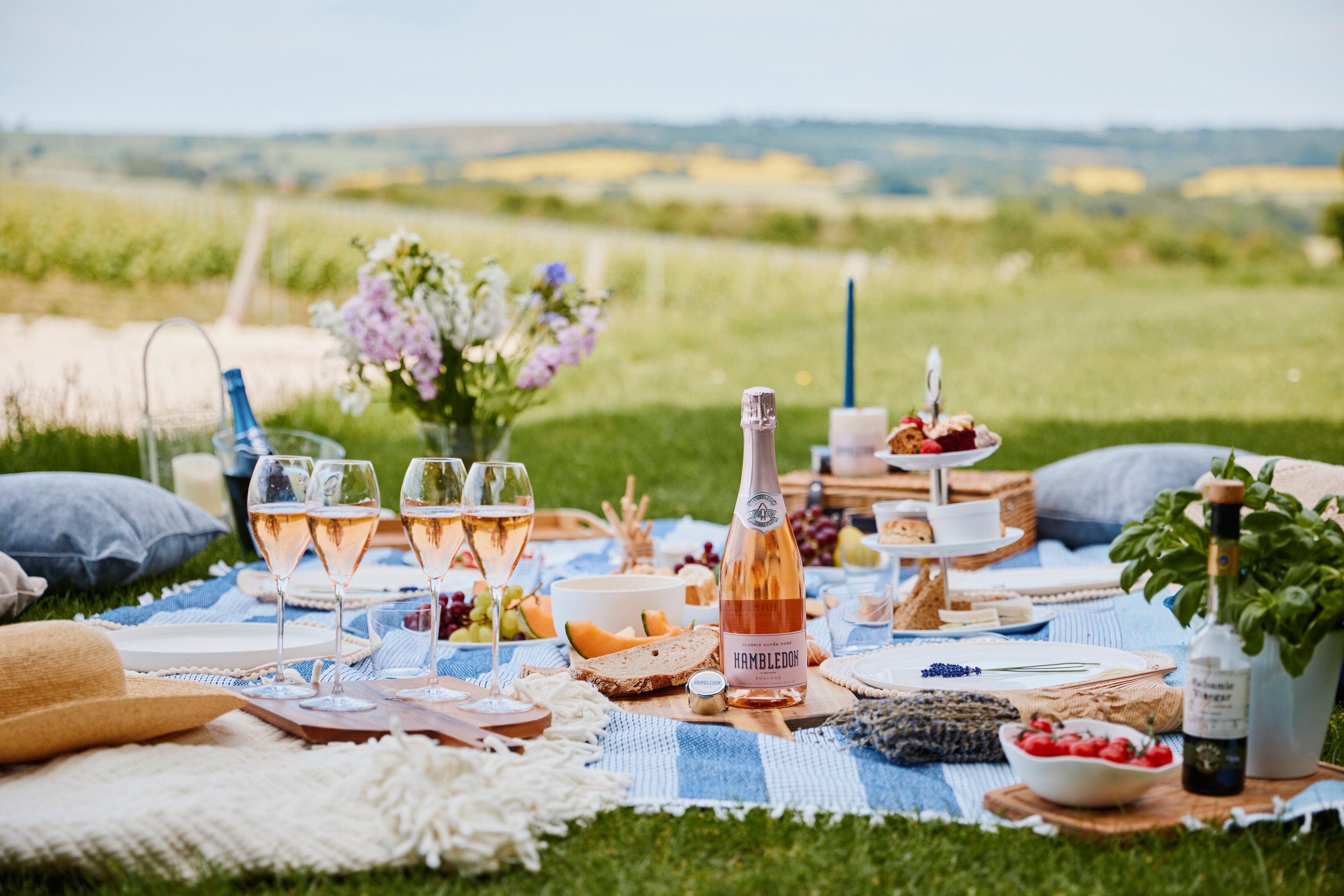 Summer Picnic Essentials: From Wine Coolers to Picnic Glasses