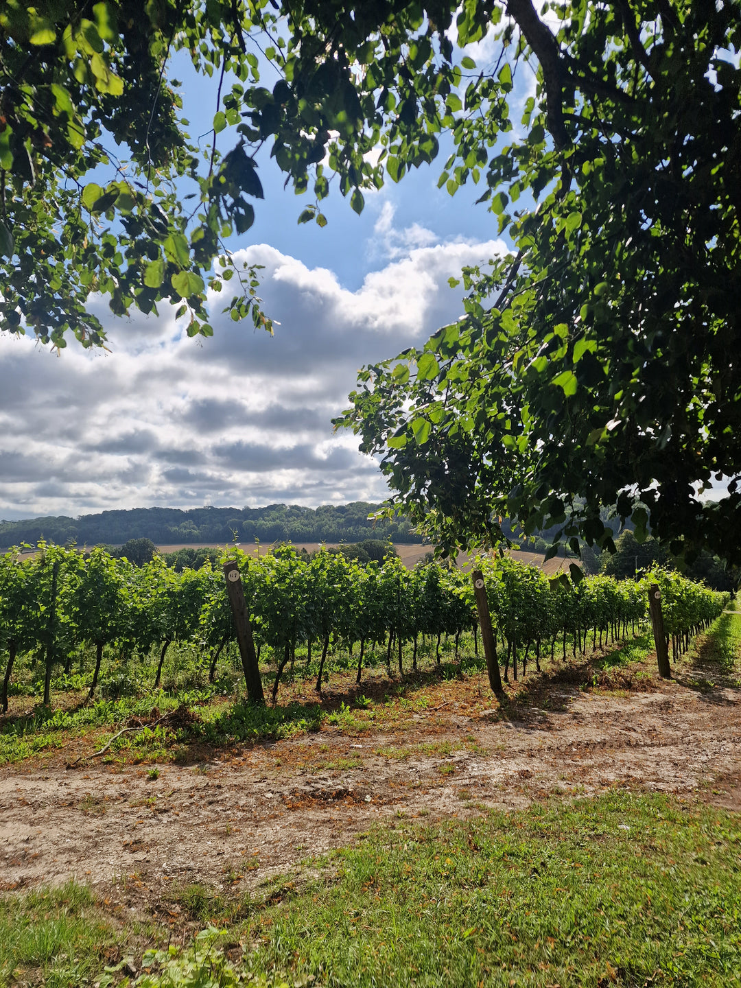 Tour & Tasting Walk-in