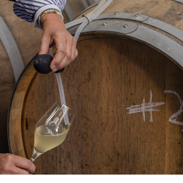 Harvest 2026 Tasting Experience
