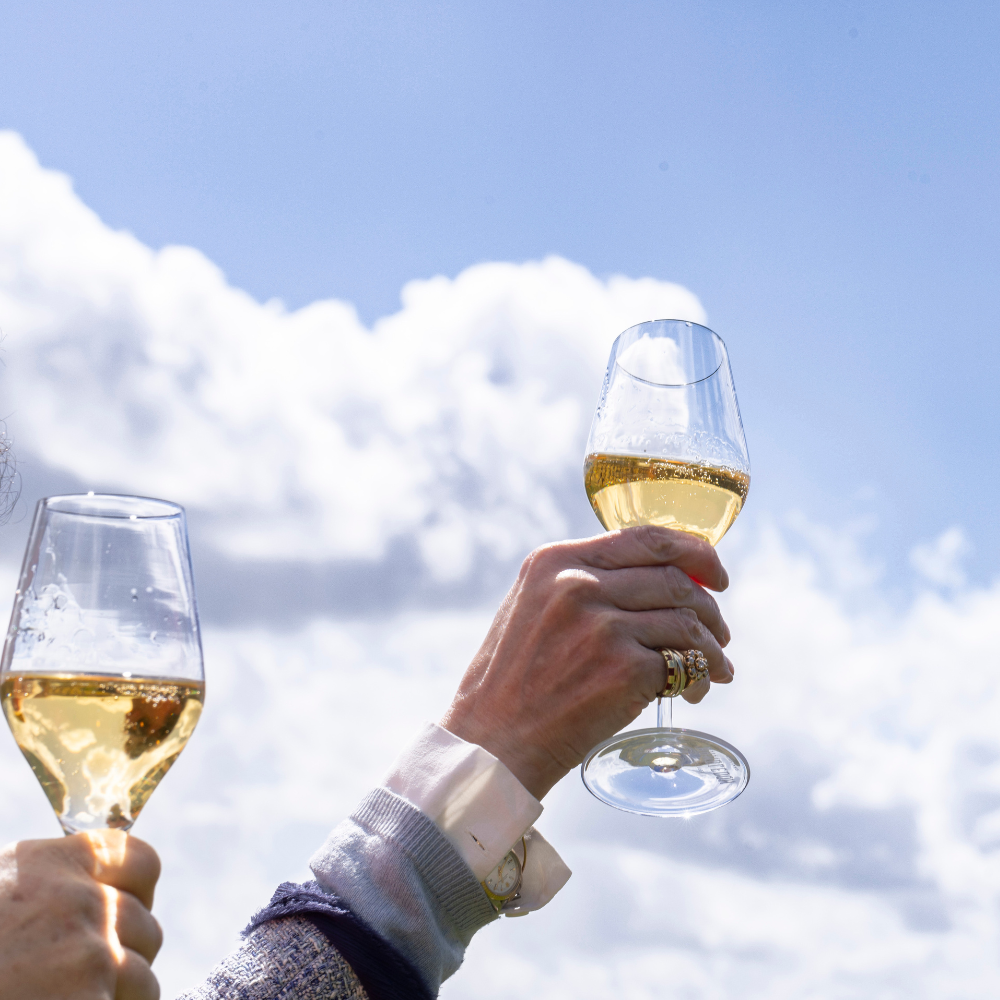 Spotlight On: Chardonnay