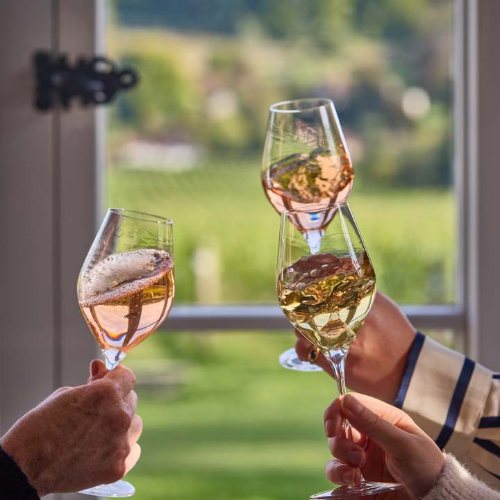 Tutored Tasting: Introduction to Wine