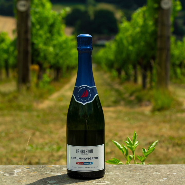 Circumnavigator: Hambledon x Clipper Limited Edition Cuvée