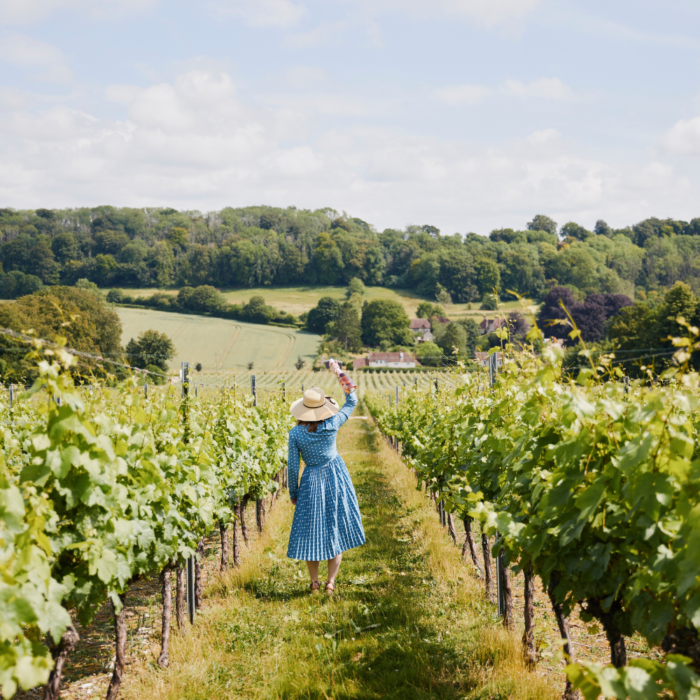 Grenadier Vineyard Safari Tour & Tasting