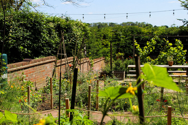 Hambledon Hour Tastings
