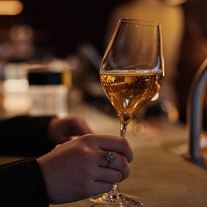 Tutored Tasting: Introduction to Wine