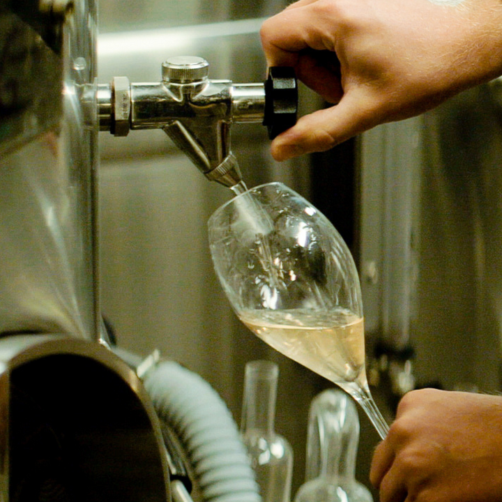 Winery Tour 2025