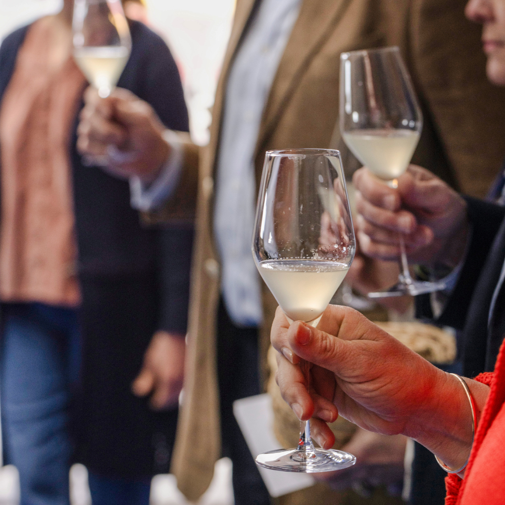 Tutored Tasting: Introduction to Wine