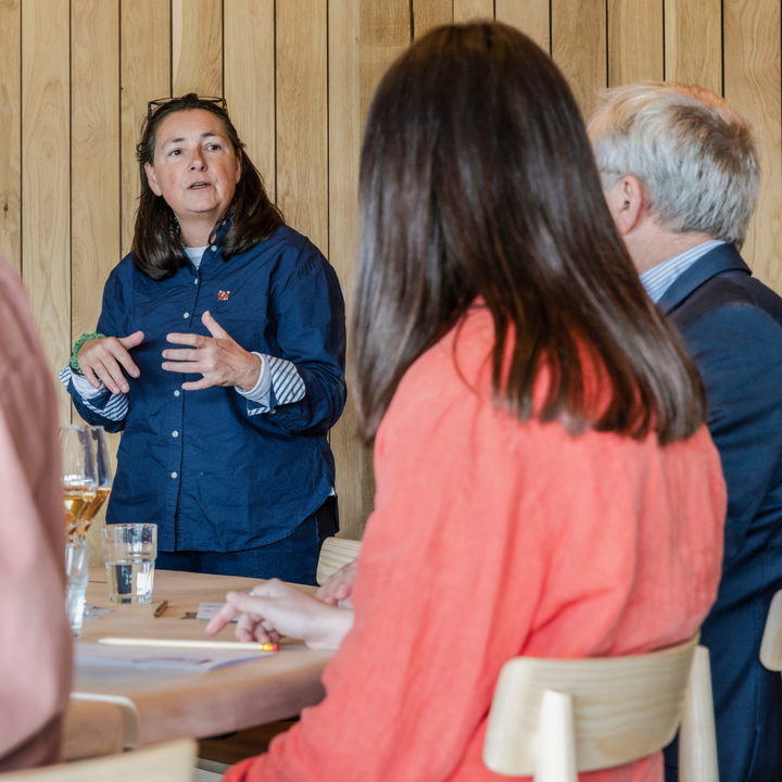 Tutored Tasting: Introduction to Wine