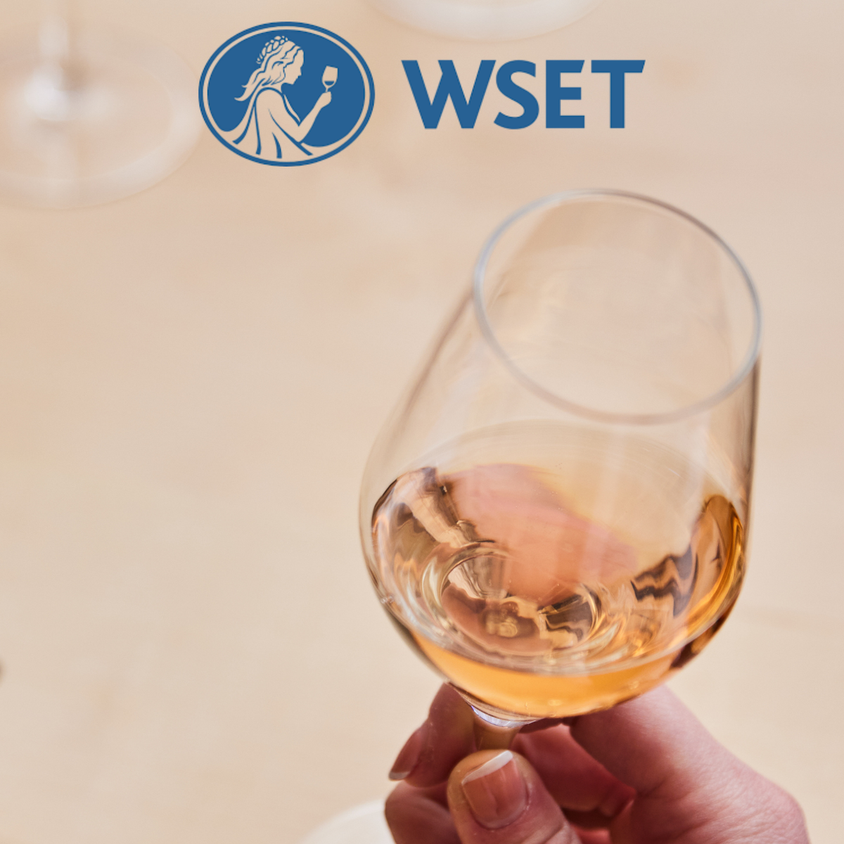 Hambledon Vineyard WSET Level 1 Award in Wines - Multiple 2026 dates WSET Level 1 Award in Wines - Multiple 2026 dates