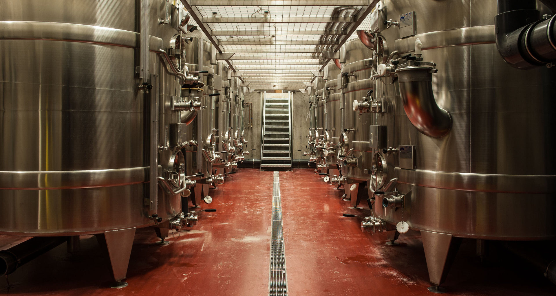 Our Winemaking Process Hambledon Vineyard