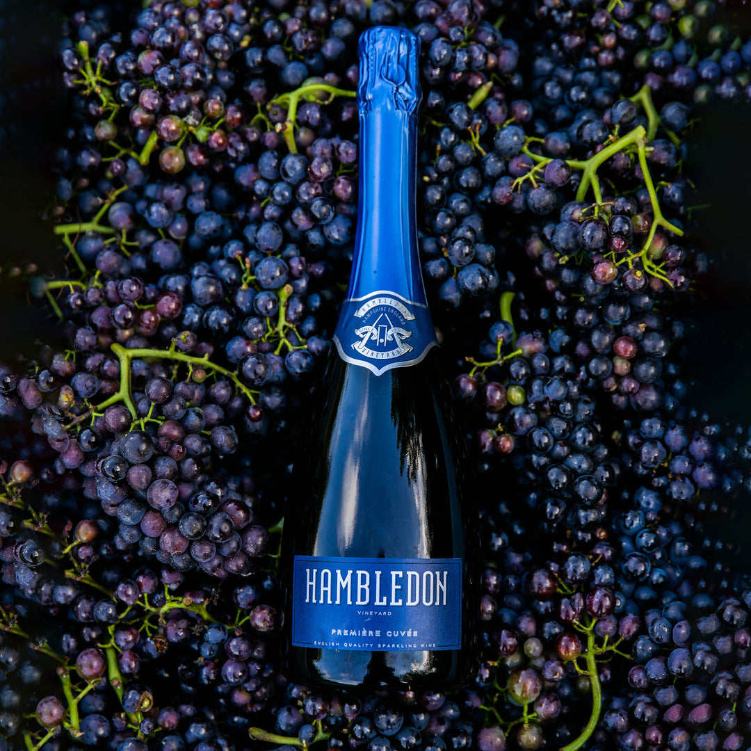 Première Cuvée Six Bottle Case