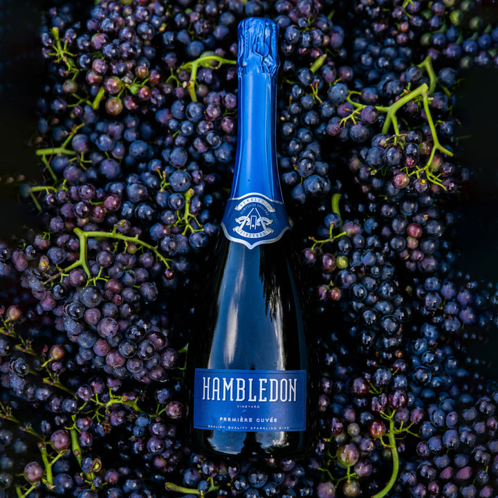 Première Cuvée Six Bottle Case